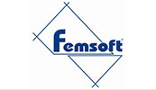 Femsoft logosu