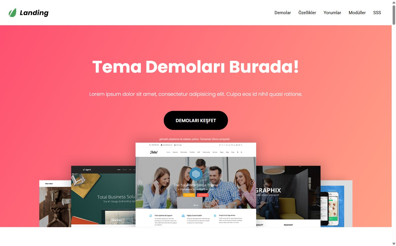 Tek Sayfa & Landing 4 web tasarım teması